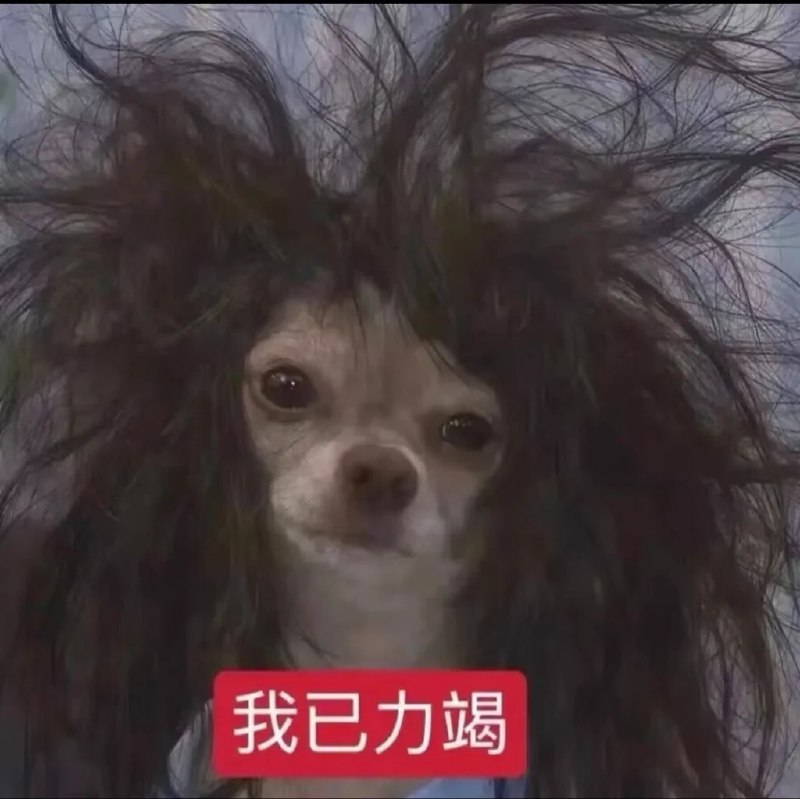 uu酱 (@uknowmysou77852) on X