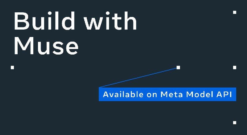 Meta Model API