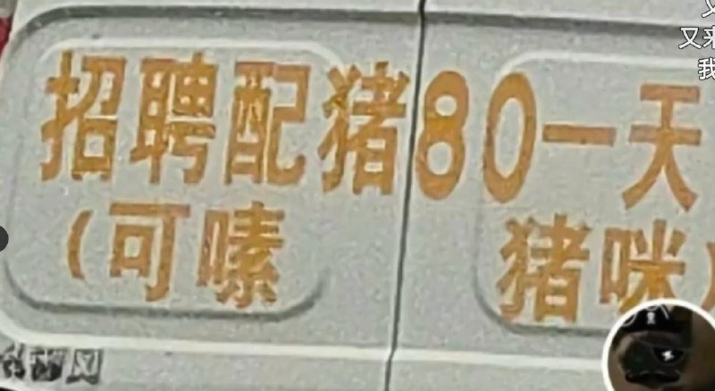 进击的小关〈减脂中〉 (@guanzkmx2w) on X