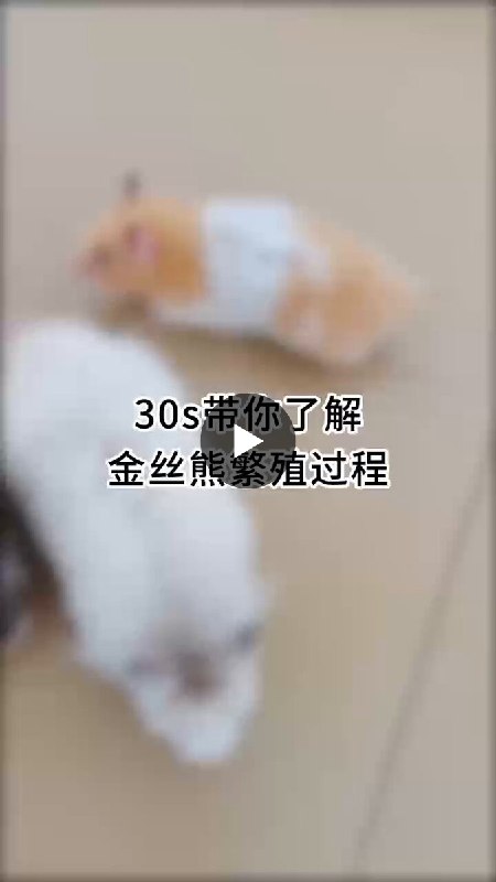 MJJ百科 (@mjjwiki) on X