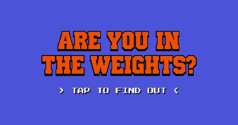 IN THE WEIGHTS