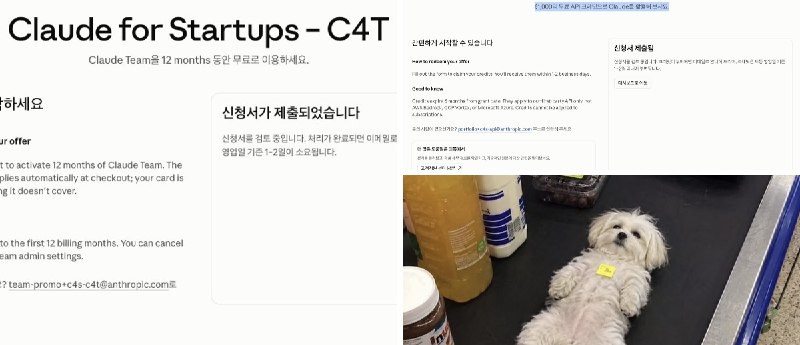고딩경제맨 (@winneravgwin) on X