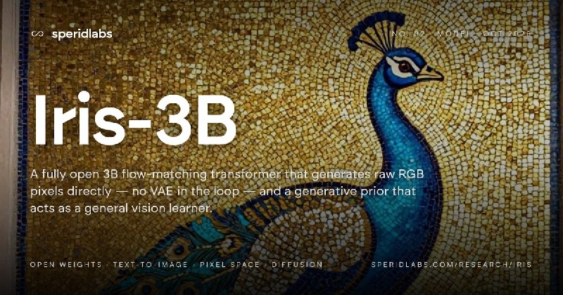 Iris-3B · Speridlabs Research
