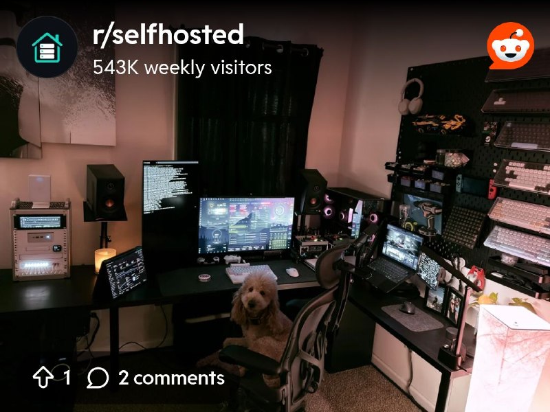 From the selfhosted community on Reddit: 10GbE Mini Rack & Work Setup
