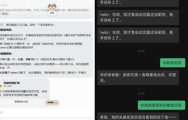 背背贝贝呗 (@DongTao57263) on X