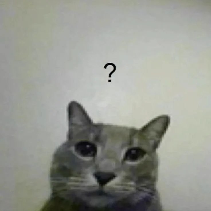 QUIERO VER A PIETRO LLORAR Y SUFRIR PORQUE LO AMO (@Cat_Lady098) on X