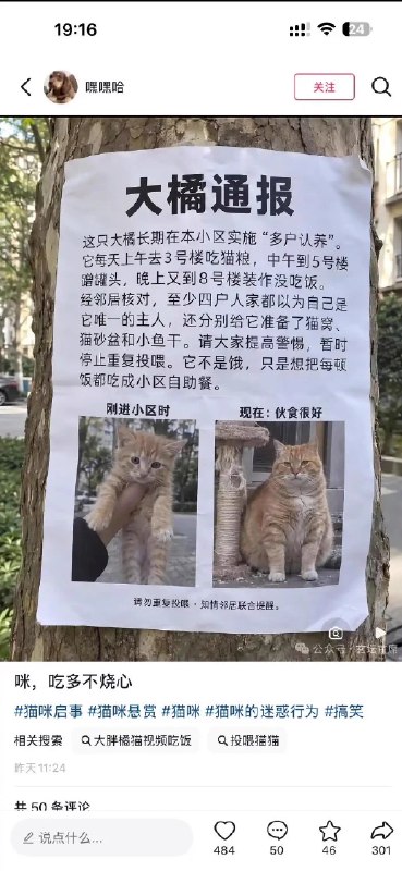 哈气 (@qingyi496914) on X